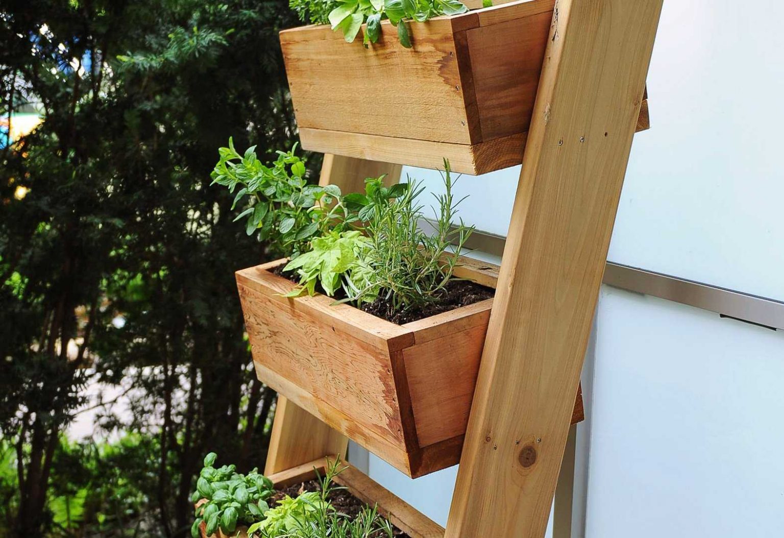 Build a Vertical Herb Garden - Gerretsen Building ...